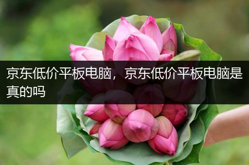 京东低价平板电脑，京东低价平板电脑是真的吗