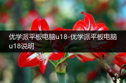 优学派平板电脑u18-优学派平板电脑u18说明