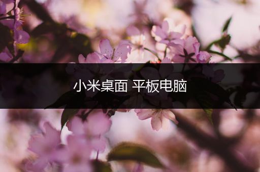 小米桌面 平板电脑
