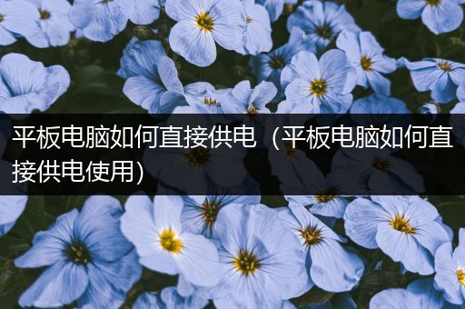 平板电脑如何直接供电（平板电脑如何直接供电使用）