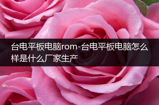 台电平板电脑rom-台电平板电脑怎么样是什么厂家生产