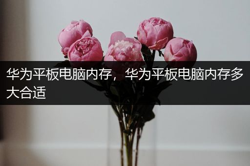 华为平板电脑内存，华为平板电脑内存多大合适