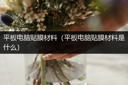 平板电脑贴膜材料（平板电脑贴膜材料是什么）