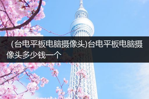 （台电平板电脑摄像头)台电平板电脑摄像头多少钱一个