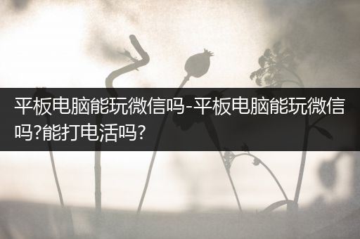 平板电脑能玩微信吗-平板电脑能玩微信吗?能打电活吗?