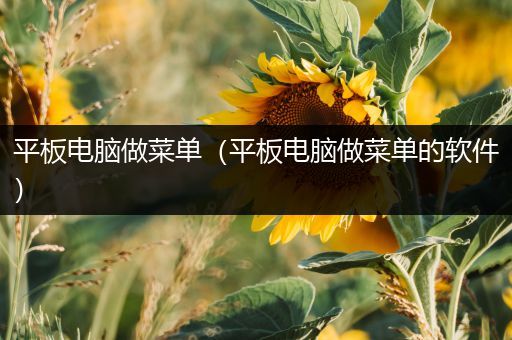 平板电脑做菜单（平板电脑做菜单的软件）