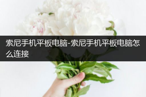 索尼手机平板电脑-索尼手机平板电脑怎么连接