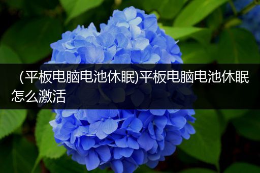 （平板电脑电池休眠)平板电脑电池休眠怎么激活