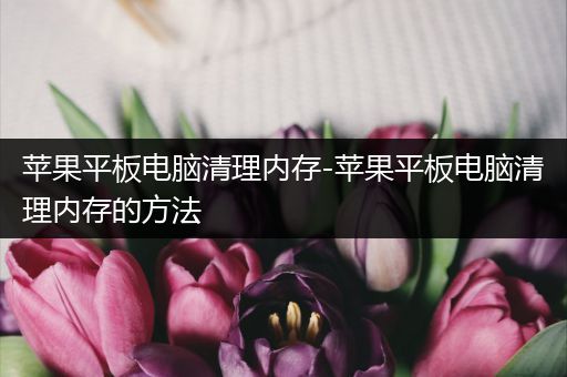苹果平板电脑清理内存-苹果平板电脑清理内存的方法