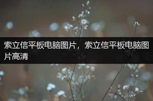 索立信平板电脑图片，索立信平板电脑图片高清