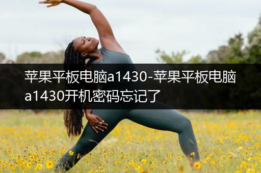 苹果平板电脑a1430-苹果平板电脑a1430开机密码忘记了