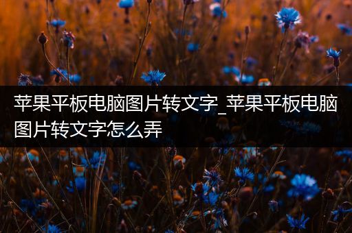 苹果平板电脑图片转文字_苹果平板电脑图片转文字怎么弄