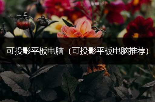 可投影平板电脑（可投影平板电脑推荐）