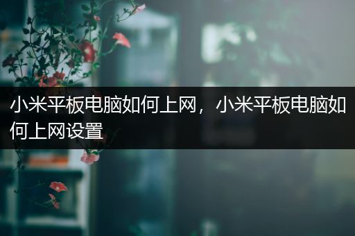 小米平板电脑如何上网，小米平板电脑如何上网设置