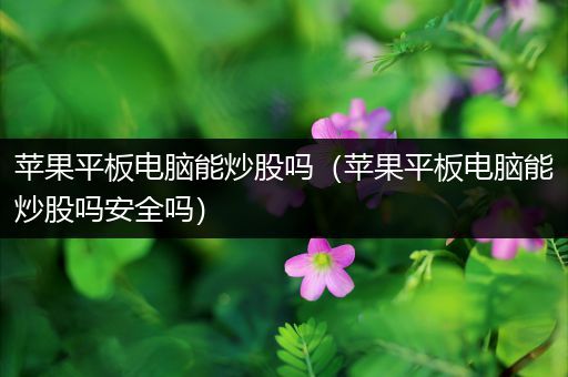 苹果平板电脑能炒股吗（苹果平板电脑能炒股吗安全吗）