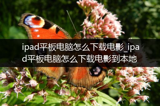 ipad平板电脑怎么下载电影_ipad平板电脑怎么下载电影到本地