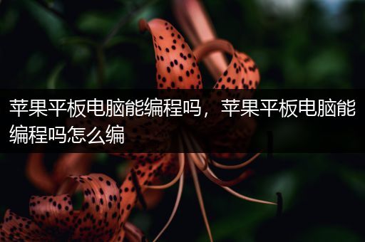 苹果平板电脑能编程吗，苹果平板电脑能编程吗怎么编