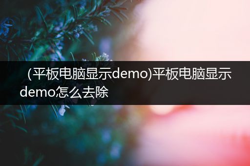 （平板电脑显示demo)平板电脑显示demo怎么去除