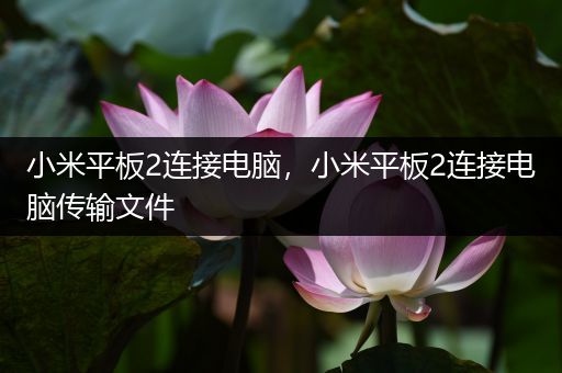 小米平板2连接电脑，小米平板2连接电脑传输文件