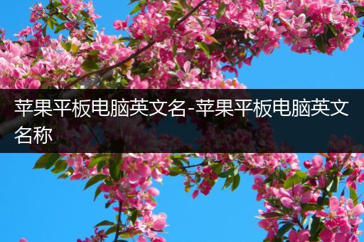 苹果平板电脑英文名-苹果平板电脑英文名称