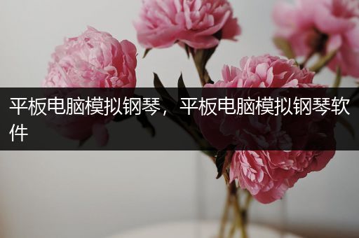平板电脑模拟钢琴，平板电脑模拟钢琴软件