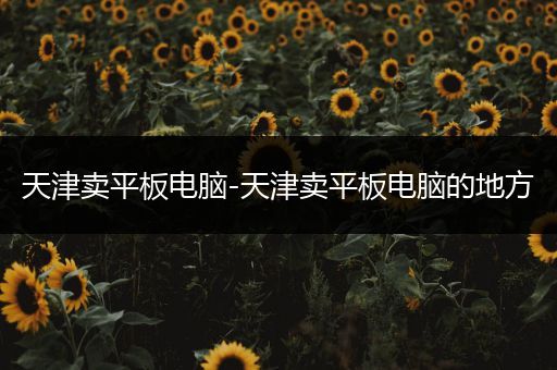 天津卖平板电脑-天津卖平板电脑的地方