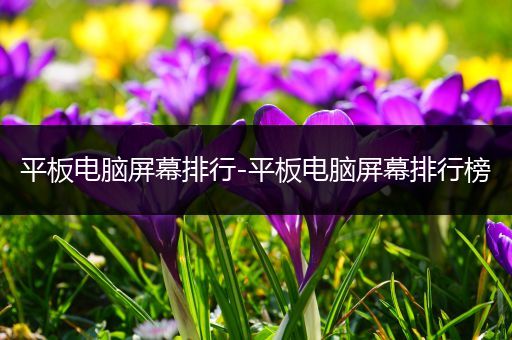 平板电脑屏幕排行-平板电脑屏幕排行榜