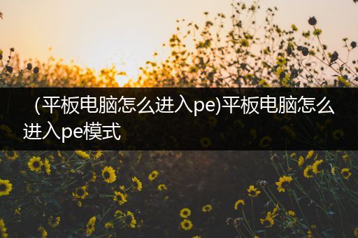 （平板电脑怎么进入pe)平板电脑怎么进入pe模式