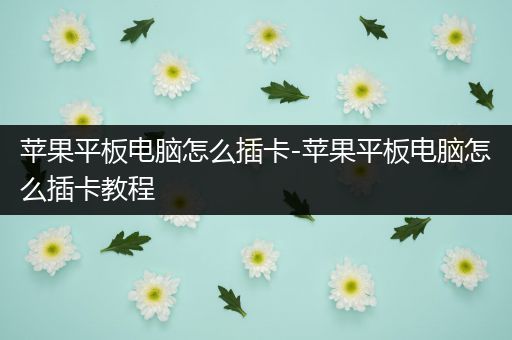 苹果平板电脑怎么插卡-苹果平板电脑怎么插卡教程