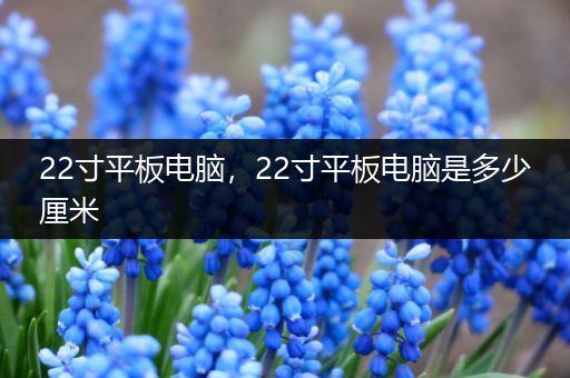 22寸平板电脑，22寸平板电脑是多少厘米