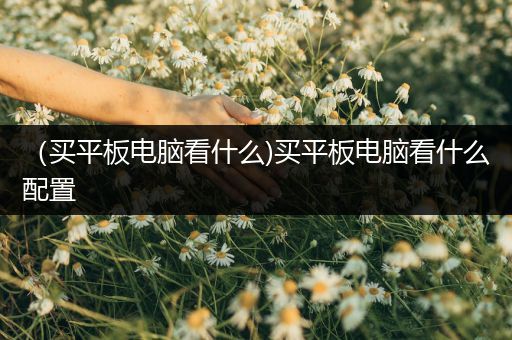（买平板电脑看什么)买平板电脑看什么配置