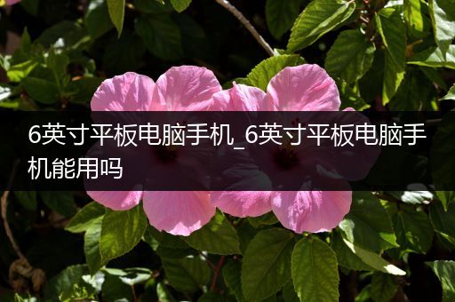 6英寸平板电脑手机_6英寸平板电脑手机能用吗