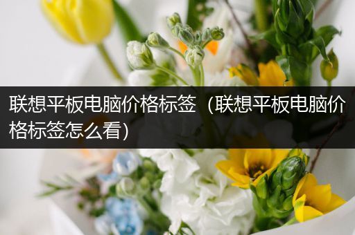 联想平板电脑价格标签（联想平板电脑价格标签怎么看）