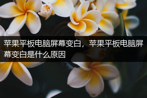 苹果平板电脑屏幕变白，苹果平板电脑屏幕变白是什么原因