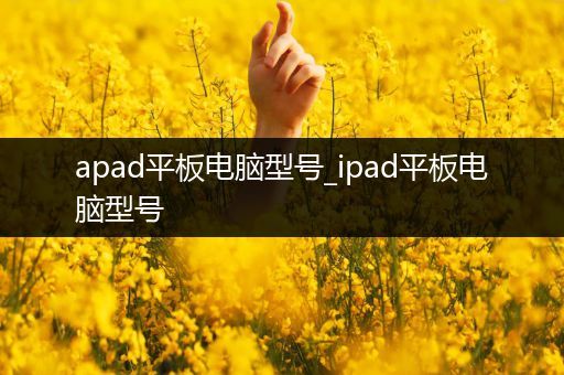 apad平板电脑型号_ipad平板电脑型号