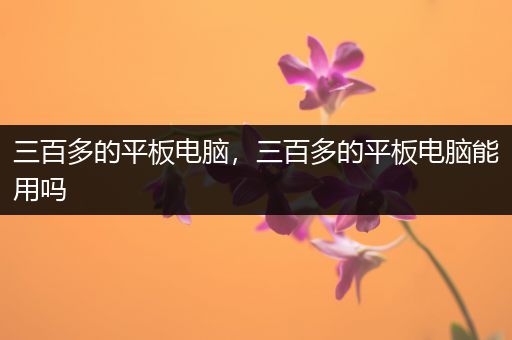 三百多的平板电脑，三百多的平板电脑能用吗