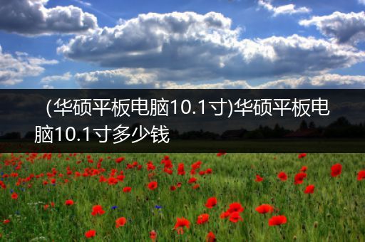 （华硕平板电脑10.1寸)华硕平板电脑10.1寸多少钱