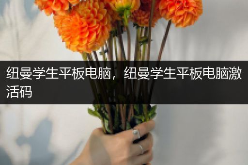 纽曼学生平板电脑，纽曼学生平板电脑激活码