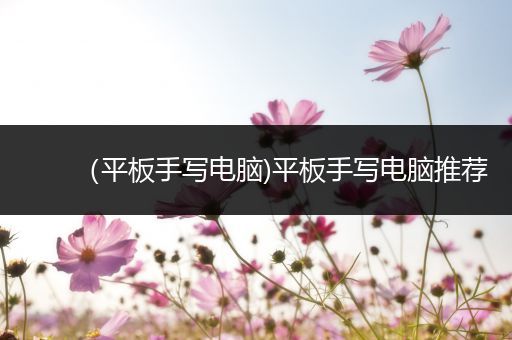 （平板手写电脑)平板手写电脑推荐
