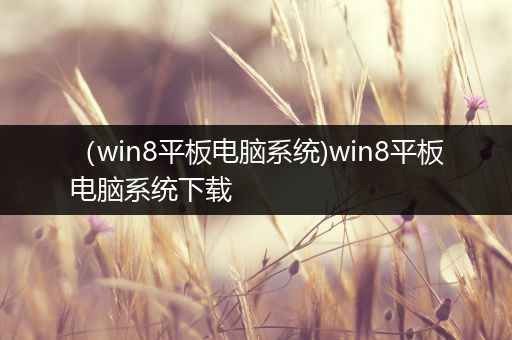 （win8平板电脑系统)win8平板电脑系统下载