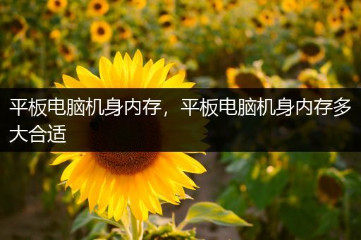 平板电脑机身内存，平板电脑机身内存多大合适