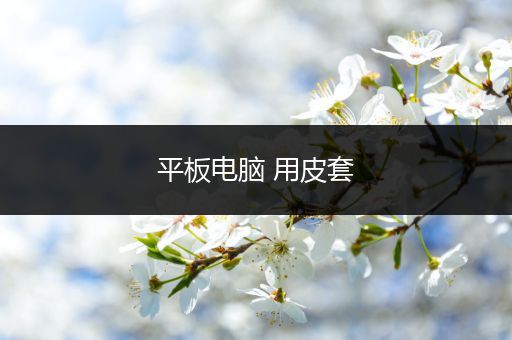 平板电脑 用皮套