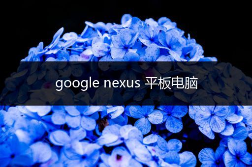 google nexus 平板电脑