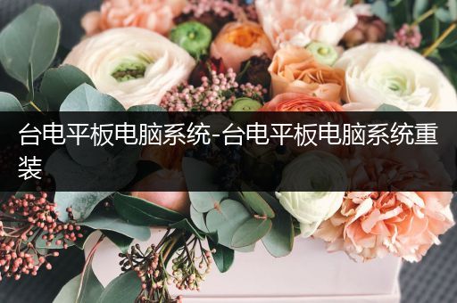 台电平板电脑系统-台电平板电脑系统重装