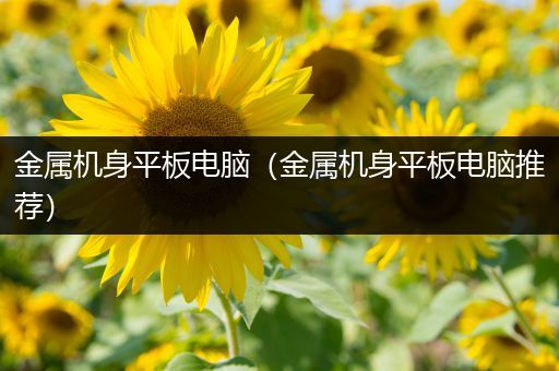 金属机身平板电脑（金属机身平板电脑推荐）