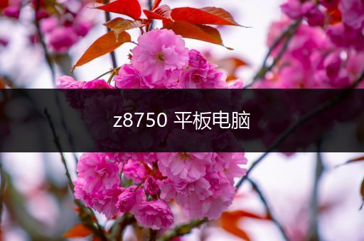 z8750 平板电脑