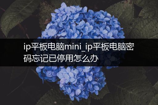 ip平板电脑mini_ip平板电脑密码忘记已停用怎么办