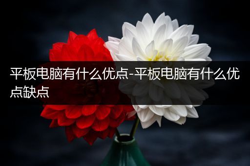 平板电脑有什么优点-平板电脑有什么优点缺点