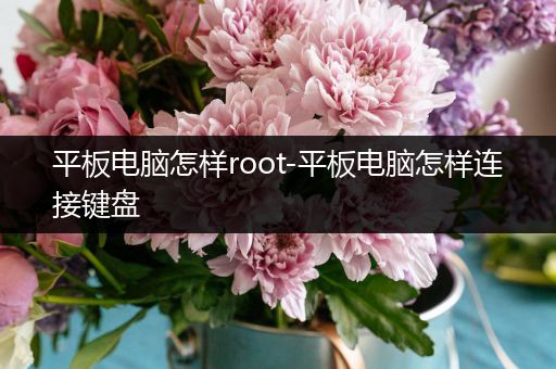 平板电脑怎样root-平板电脑怎样连接键盘