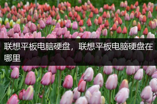 联想平板电脑硬盘，联想平板电脑硬盘在哪里
